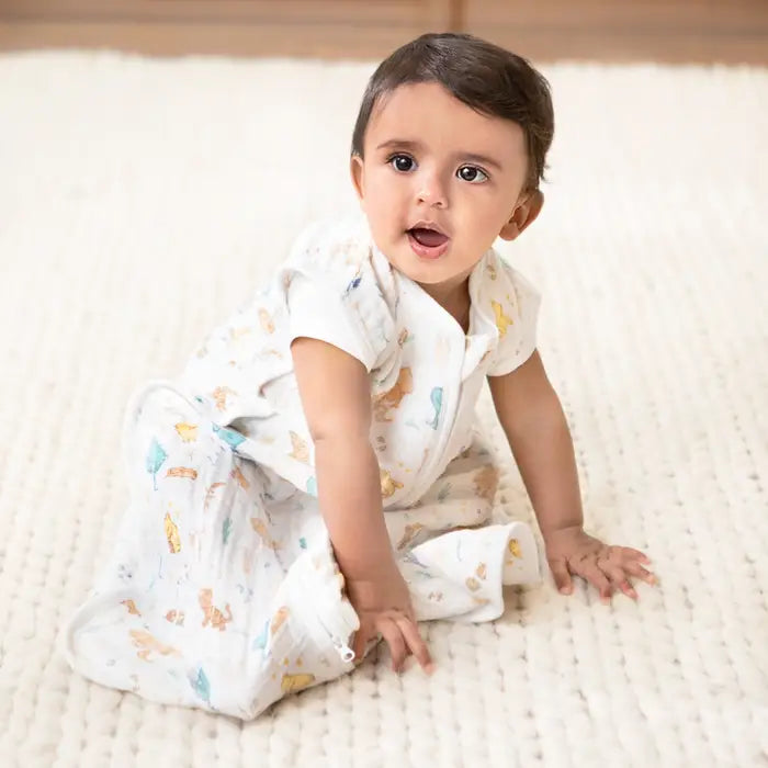 winnie the pooh in the woods