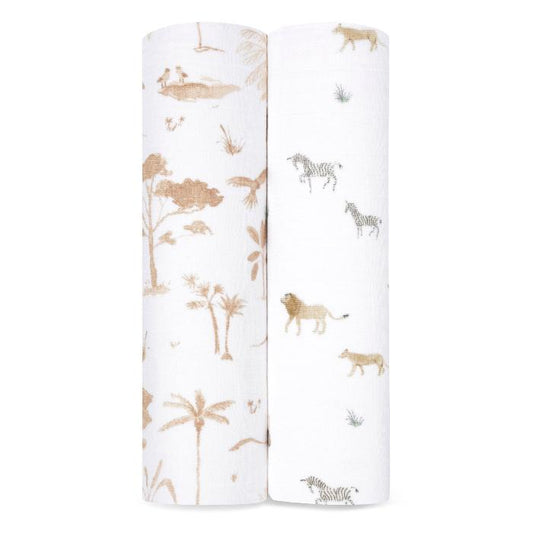 safari dreams