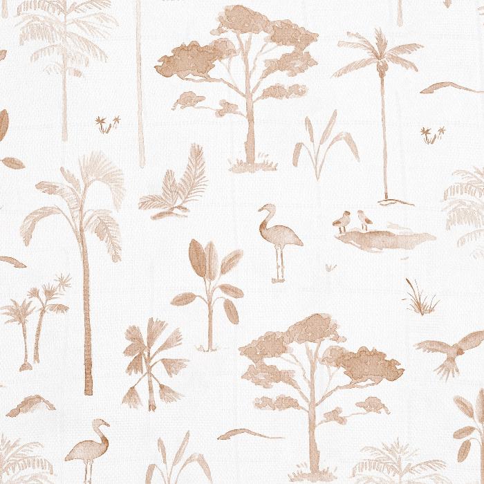 safari dreams
