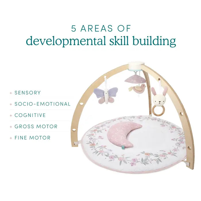 Activity Gym Benefits for Developmental Skills
