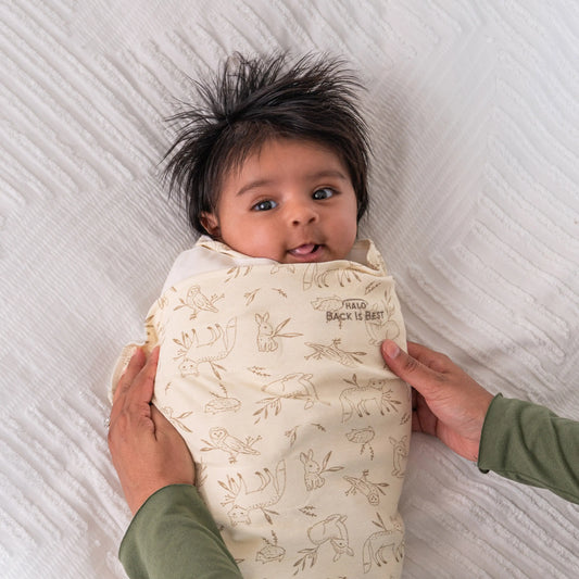 Hip healthy swaddling with the halo sleepsack swaddle