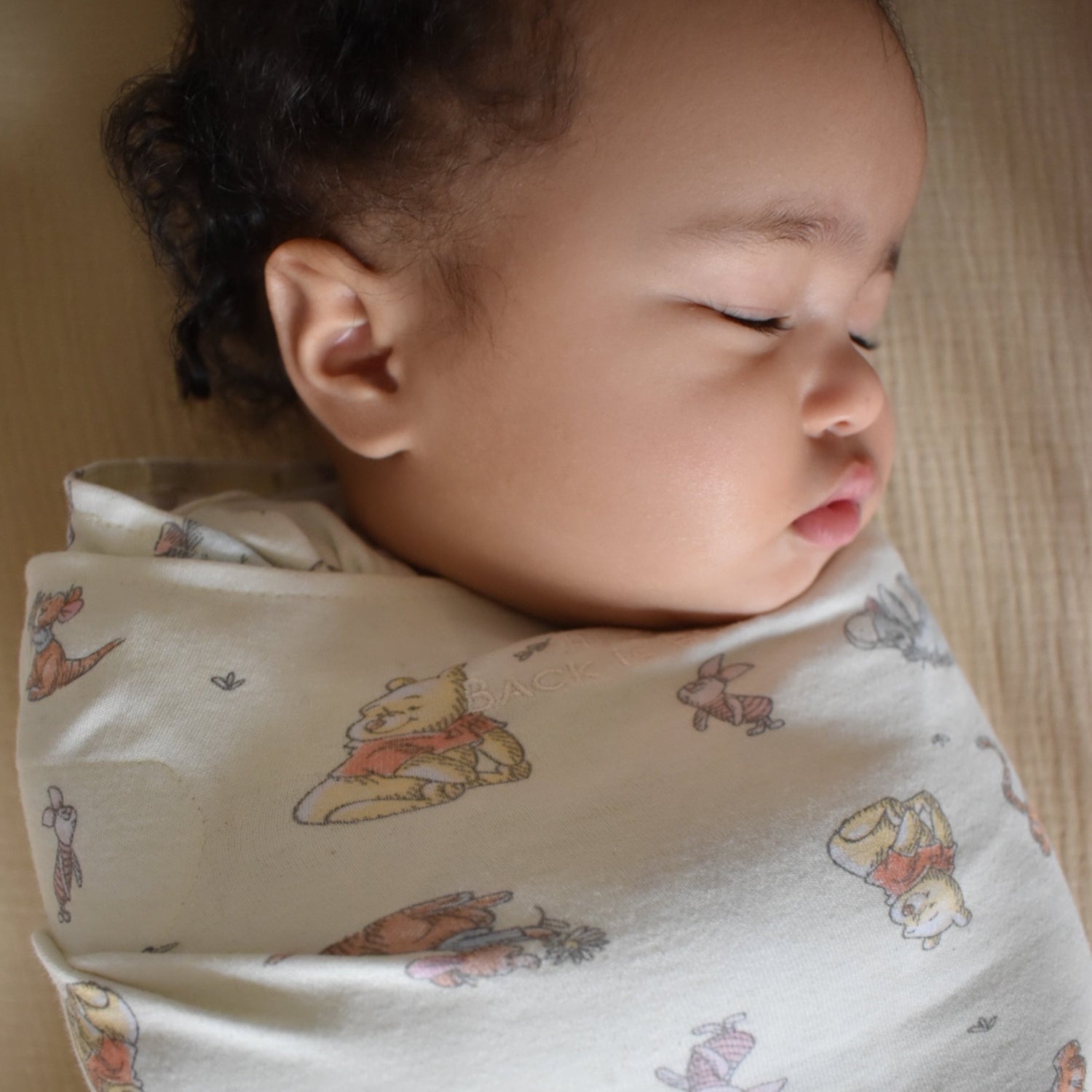 SleepSack Swaddles Collection