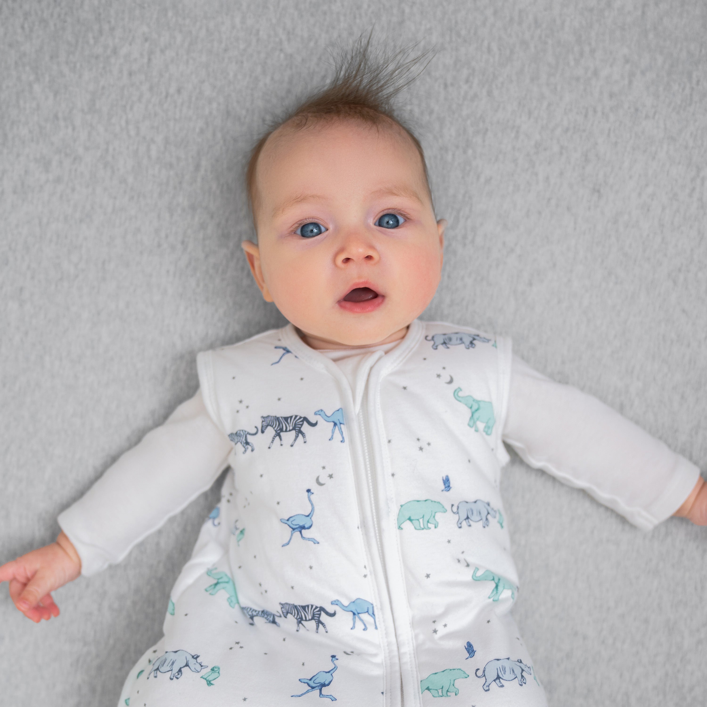 Winter Baby Sleeping Bags 2.5 TOG aden + anais