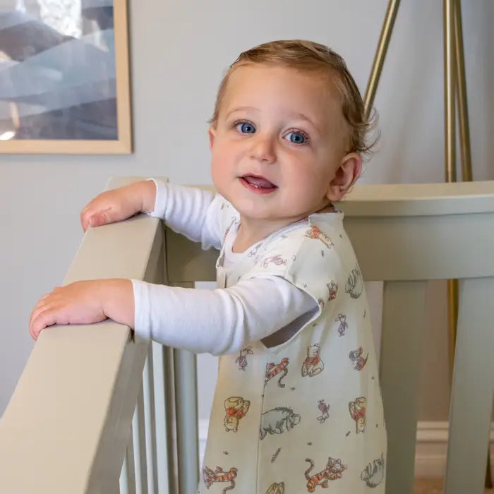 Aden and anais 0.5 tog sleeping bag online