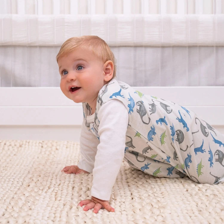 HALO Cotton SleepSack - Watercolor Dinos