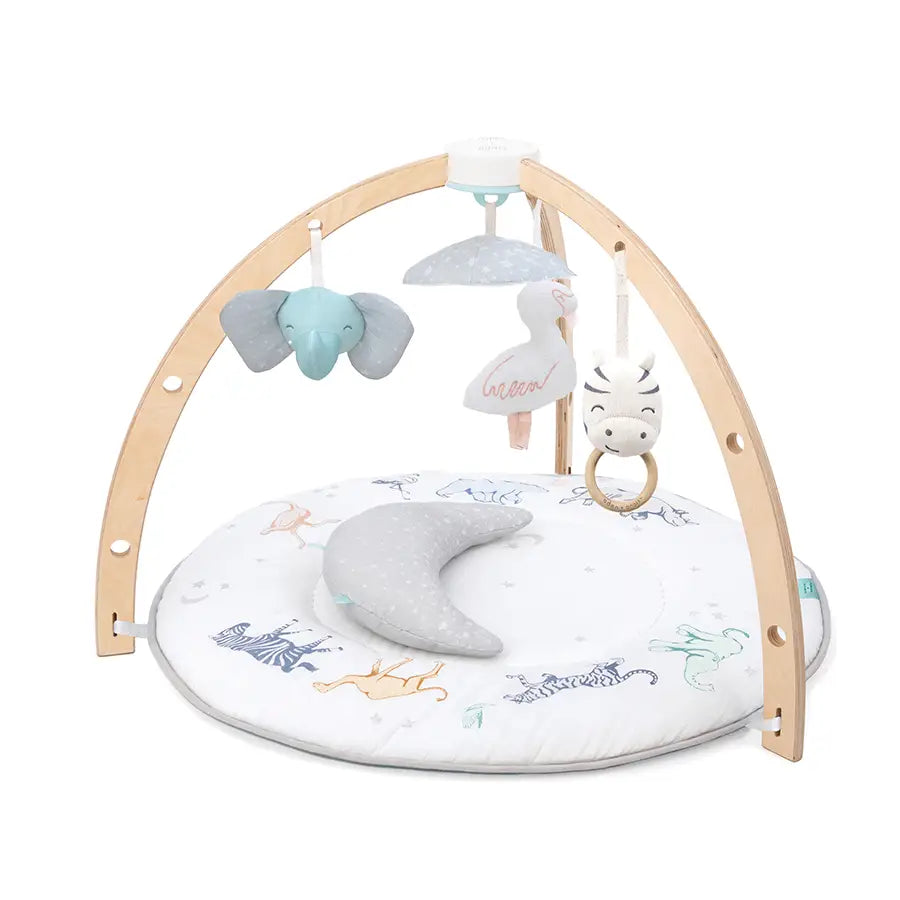 Playtime Activity Gym