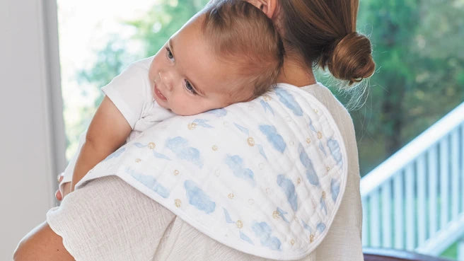Burpy Bib - Harry Potter