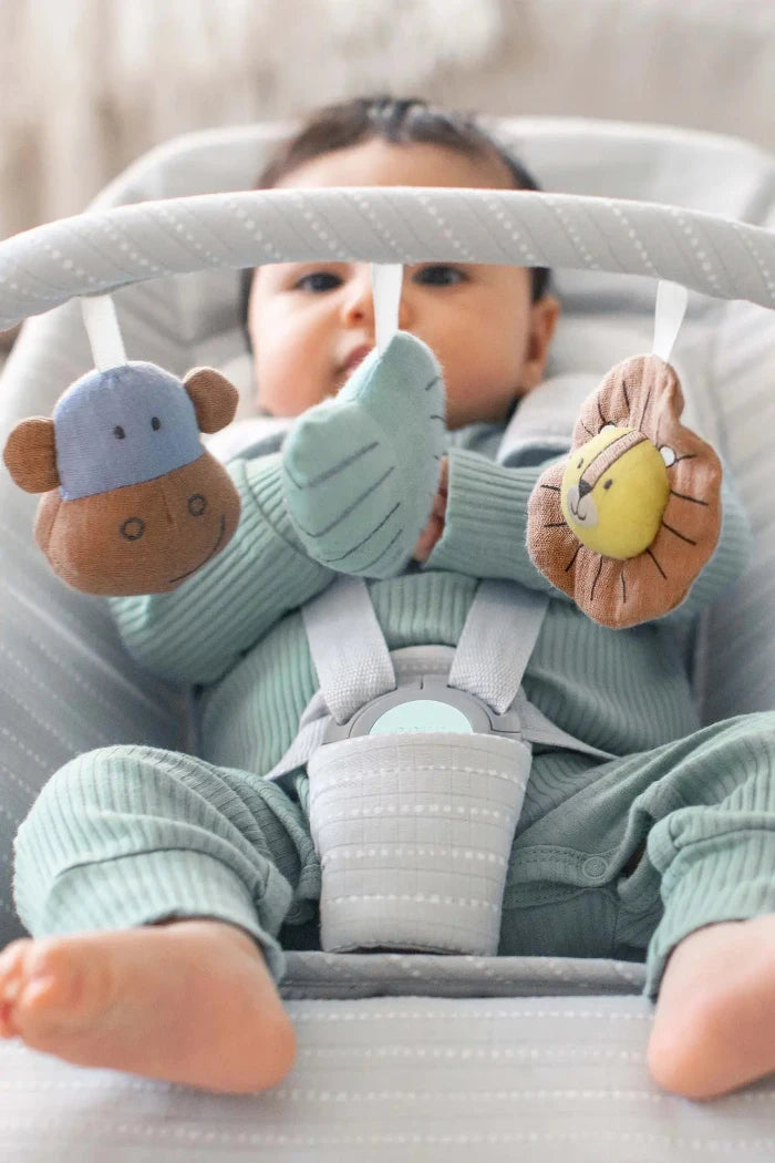 Benefits of a baby bouncer rocker seat aden anais