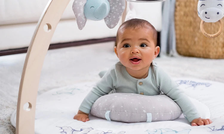 Toddler and Activity Gym