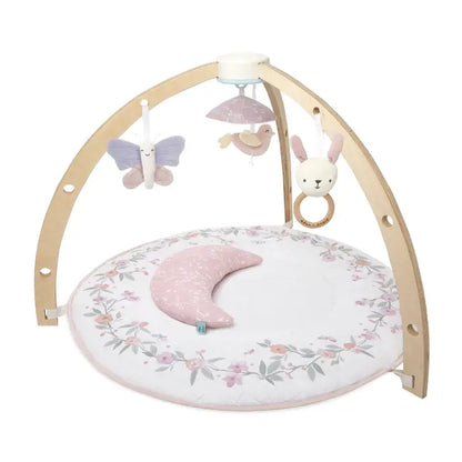 Baby Activity Gym aden anais