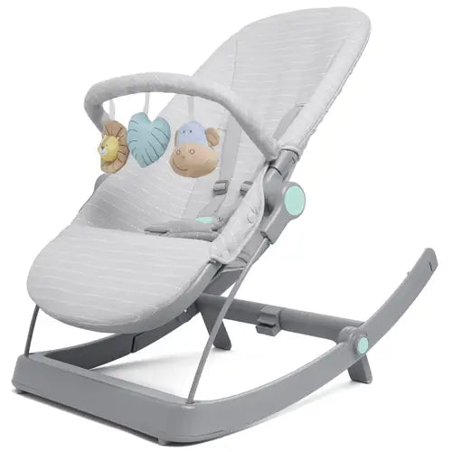 Aden+Anais Baby Rocker