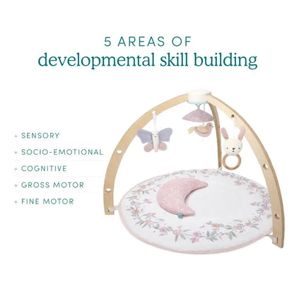 Activity Gym Benefits for Developmental Skills