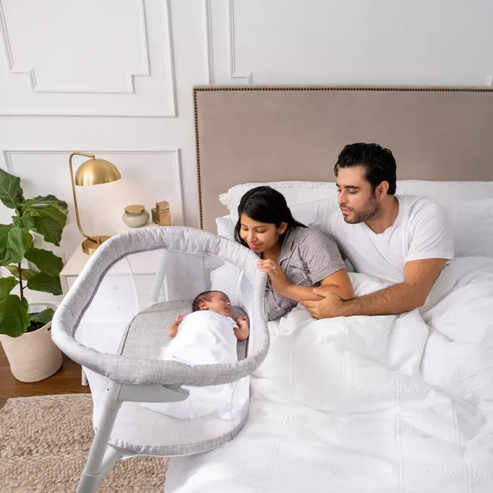 BassiNest Flex Portable Bassinet aden anais